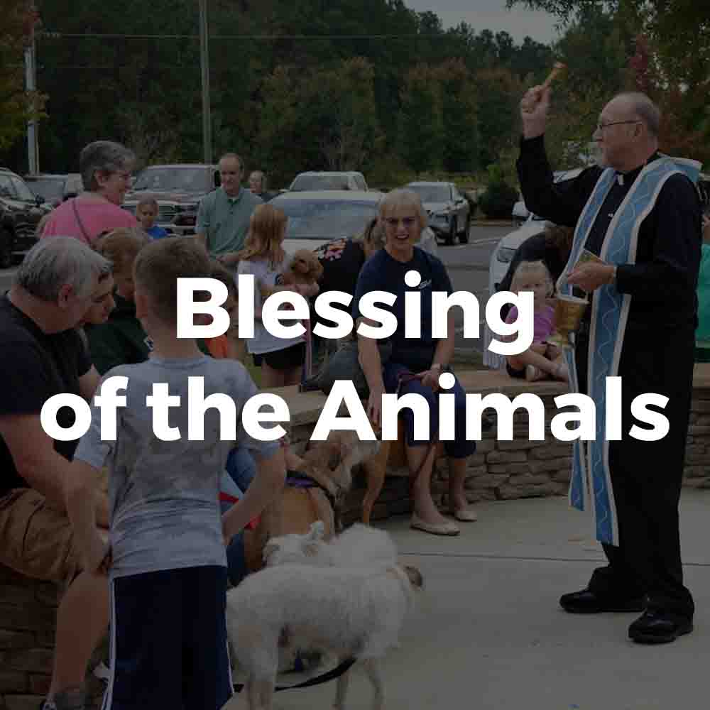 2024 Blessing of the Animals